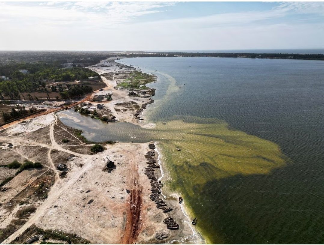 Sénégal : le lac Rose, un patrimoine en péril