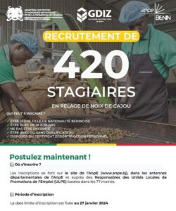 420 stagiaires recherchés