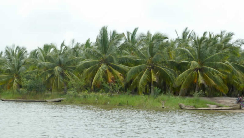 Ratification de la Convention pour l'Autorité du Bassin du Mono : Vers une Gestion Intégrée des Ressources en Eau