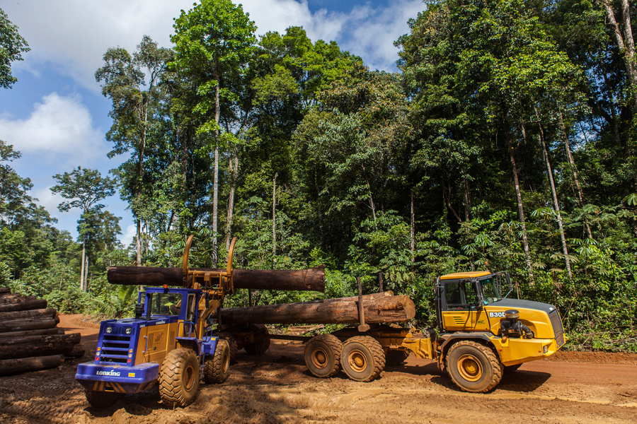 Bénin : Vers une exportation durable des produits forestiers