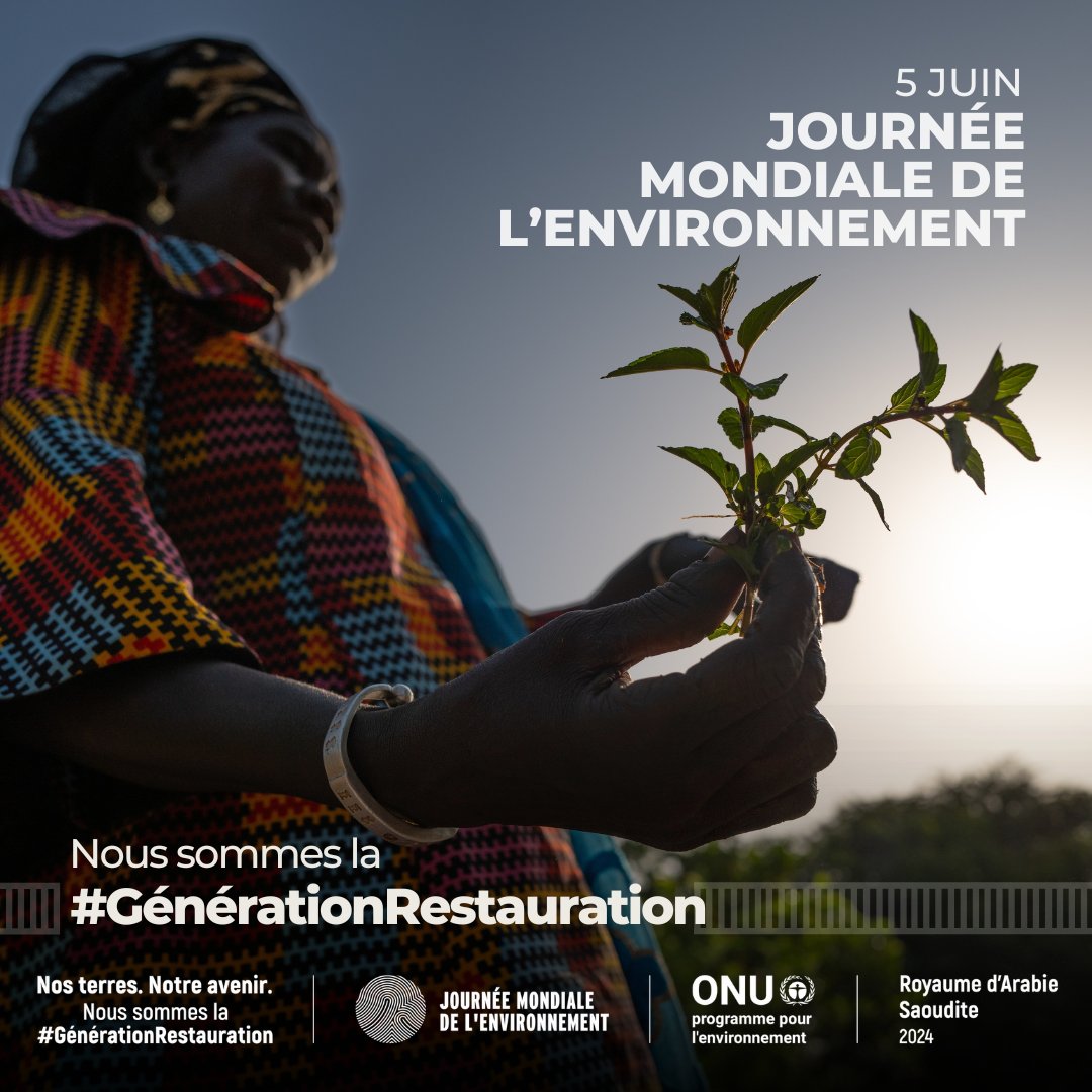 Cette année, la Journée mondiale de l'environnement avec l'accent sur la restauration des écosystèmes , souligne l'urgence de revitaliser