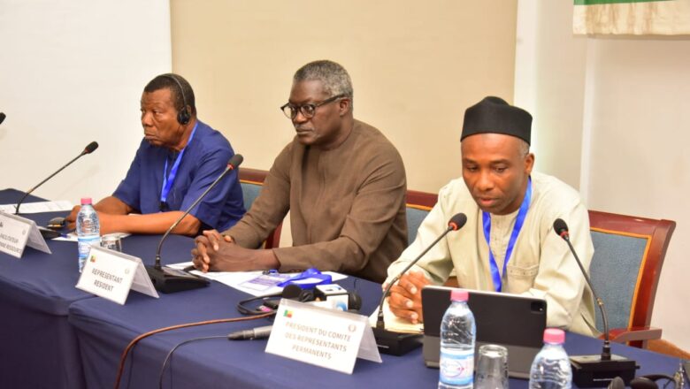 Des experts assument les jalons du Conseil économique, social et culturel de l'Afrique de l'Ouest (ECOSOCC-AO) pour relever les défis