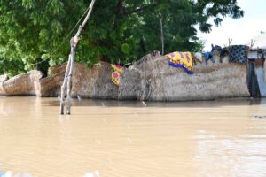 Face aux récentes inondations à Malanville, Plan International et Start Network apportent une aide financière de 98 692 000 FCFA pour soutenir les milliers de sinistrés et assurer la continuité de l'éducation.