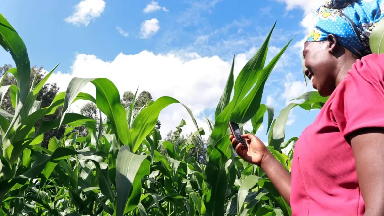 Le gouvernement béninois lance une assurance agricole indicative pour aider les petits exploitants à faire face aux aléas climatiques