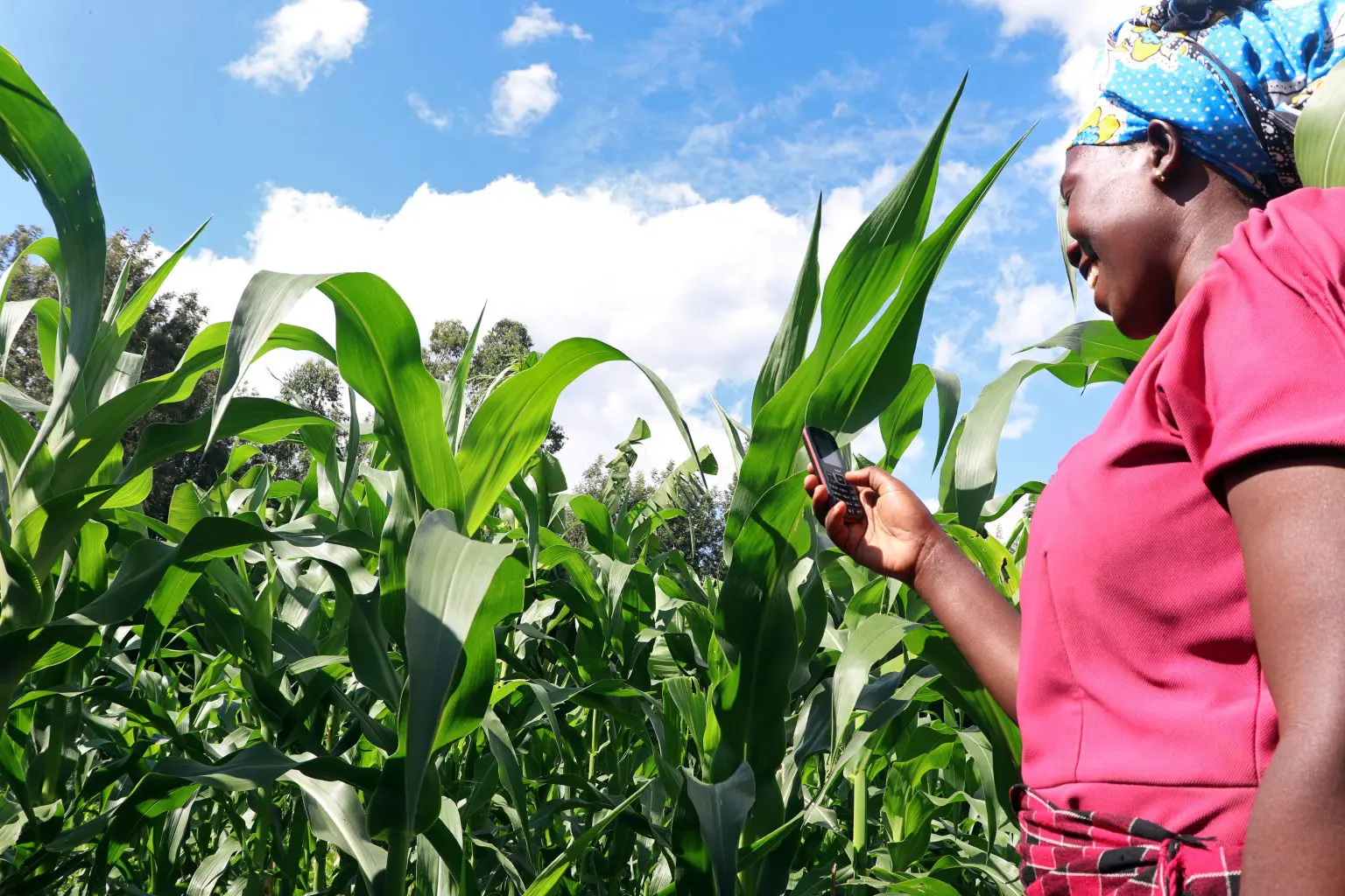 Le gouvernement béninois lance une assurance agricole indicative pour aider les petits exploitants à faire face aux aléas climatiques