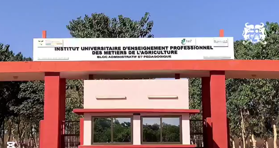 L'IUEP-MA de Djougou célèbre sa première promotion d'agripreneurs et ouvre de nouvelles perspectives pour l'agriculture béninoise.