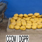 Les forces de l'ordre ont saisi 53 emballages de produits psychotropes destinés à un pays voisin. #Bénin #trafic de drogue #saisie #police