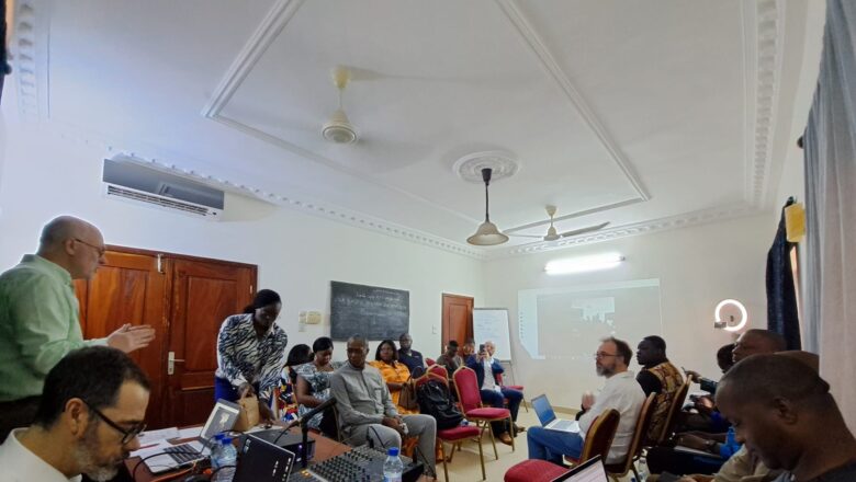 Un atelier organisé à Cotonou par le CIRTEF et l’URTI explore les opportunités de la radio numérique en Afrique,