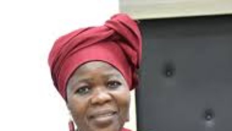 La Cour Constitutionnelle du Bénin rejette le recours de l'opposition contre la Vice-présidente Mariam CHABI TALATA,