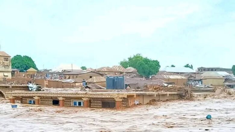 Le Nigeria est de nouveau frappé par des inondations dévastatrices à Mokwa, où plus de 200 personnes ont perdu la vie, exposant les défaillances infrastructurelles et les défis du changement climatique dans le pays.