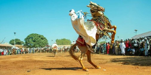 Avec son nouveau palais royal et son arène culturelle, Nikki s’apprête à accueillir des milliers de visiteurs pour la Gaani 2025,