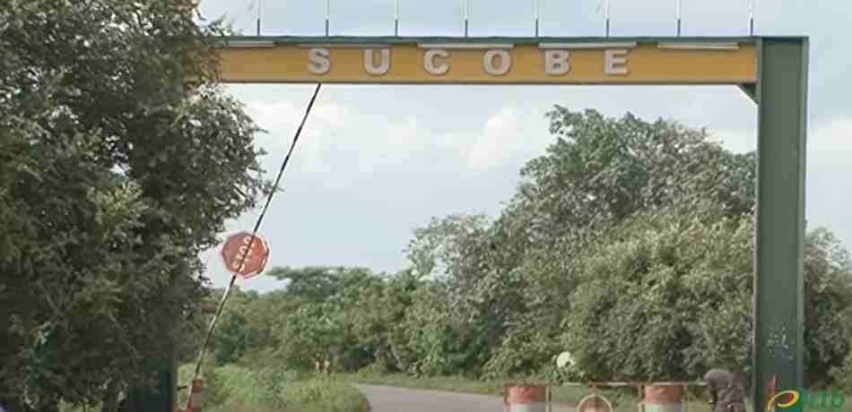 Un nouveau projet industriel verra le jour à Savè sur le site de l’ex-SUCOBE, réactivant le partenariat Bénin-Nigéria