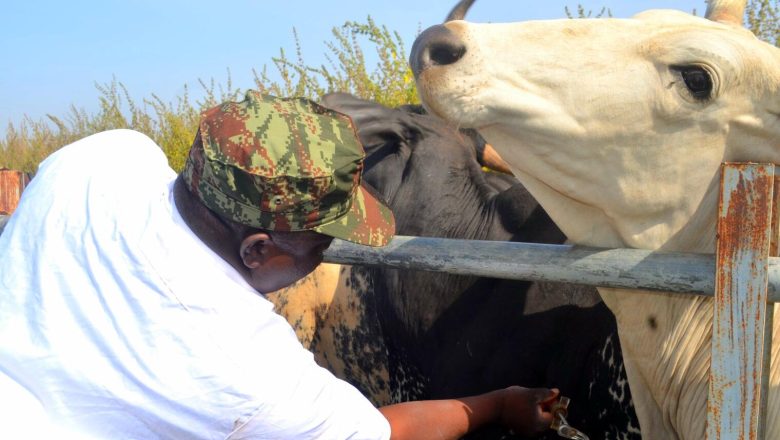 Nord Bénin : L’armée mène une opération vétérinaire gratuite à Guéné. Cette action renforce la confiance avec les éleveurs peulhs, élément clé de la lutte contre le terrorisme en zone frontalière.