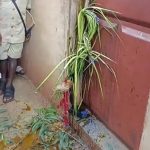 Scène insolite au Bénin : des rituels vaudous bloquent le bureau des finances du Collège d'enseignement général 2 d'Azovè , entraînant la suspension des cours et l’ouverture d’une enquête administrative.