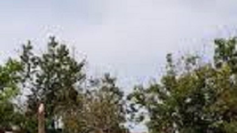 DR