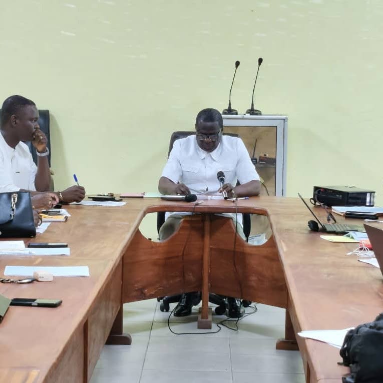 Hausse des morsures à Cotonou : les autorités déclarent la guerre aux chiens errants