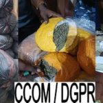Police républicaine du Bénin
