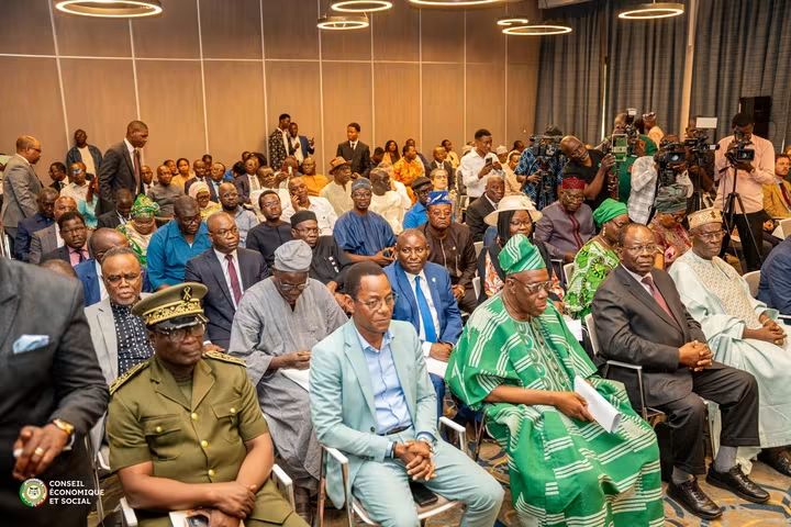Conseil Économique et Social du Bénin