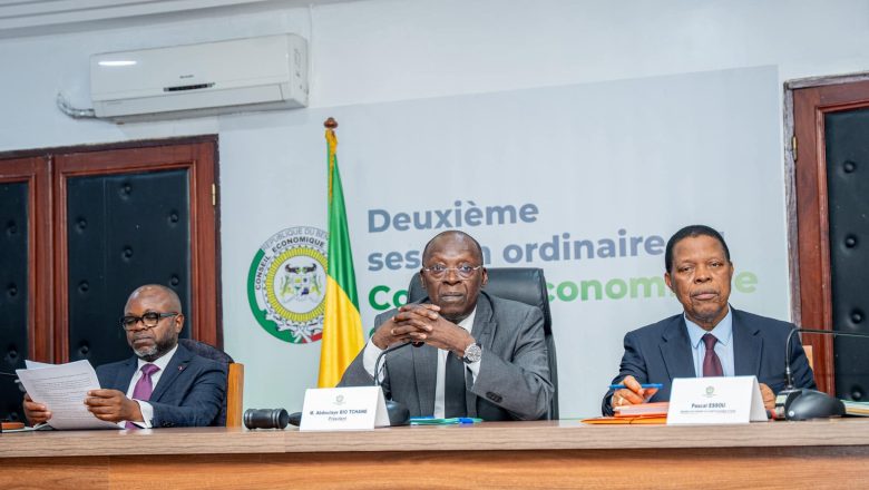 Conseil Économique et Social du Bénin
