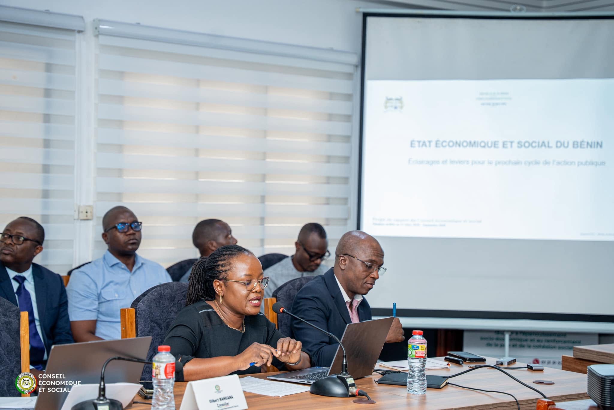 Conseil Économique et Social du Bénin