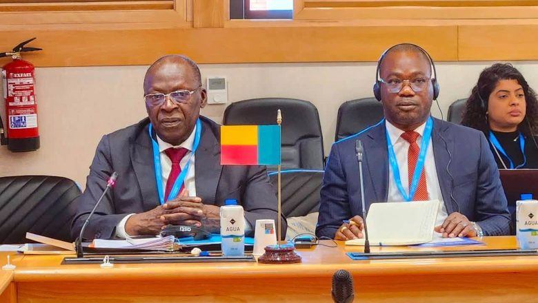 Conseil Économique et Social du Bénin